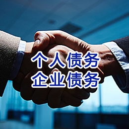 嘉鱼追债公司